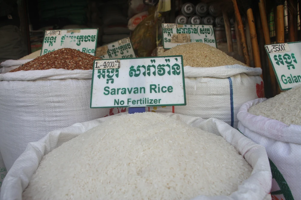Một loại gạo ngon nổi tiếng của Campuchia-Pka tại Campuchia)