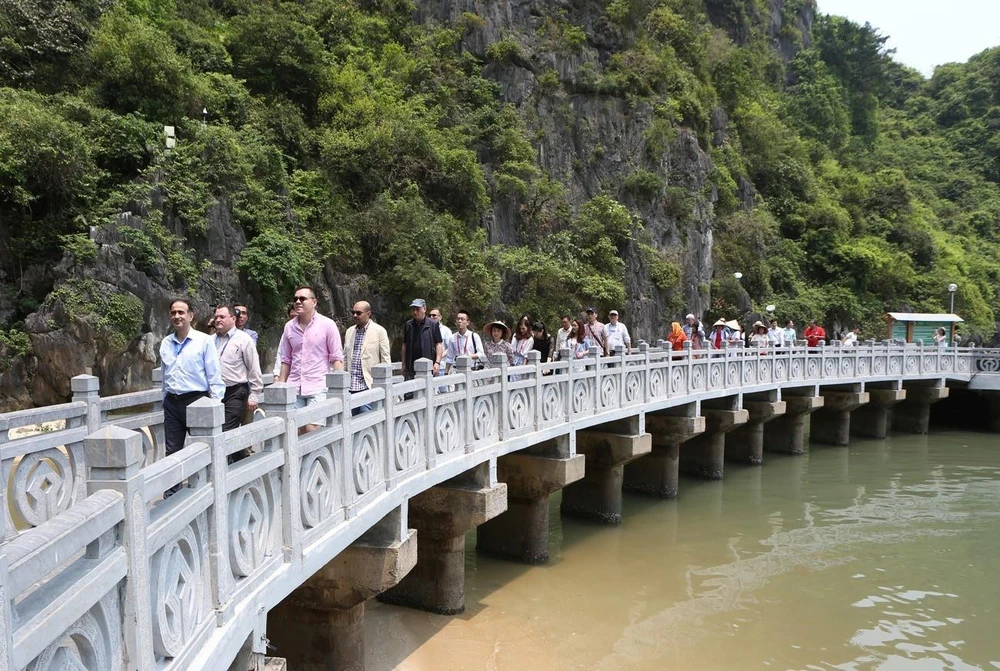 Các đại biểu đến tham quan động Thiên Cung. (Ảnh: Dương Giang/TTXVN)