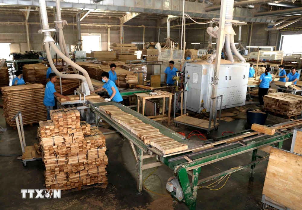 Sản xuất, chế biến gỗ tại Công ty TNHH khai thác, chế biến lâm sản Đà Lạt (Lâm Đồng). (Ảnh: Vũ Sinh/TTXVN)
