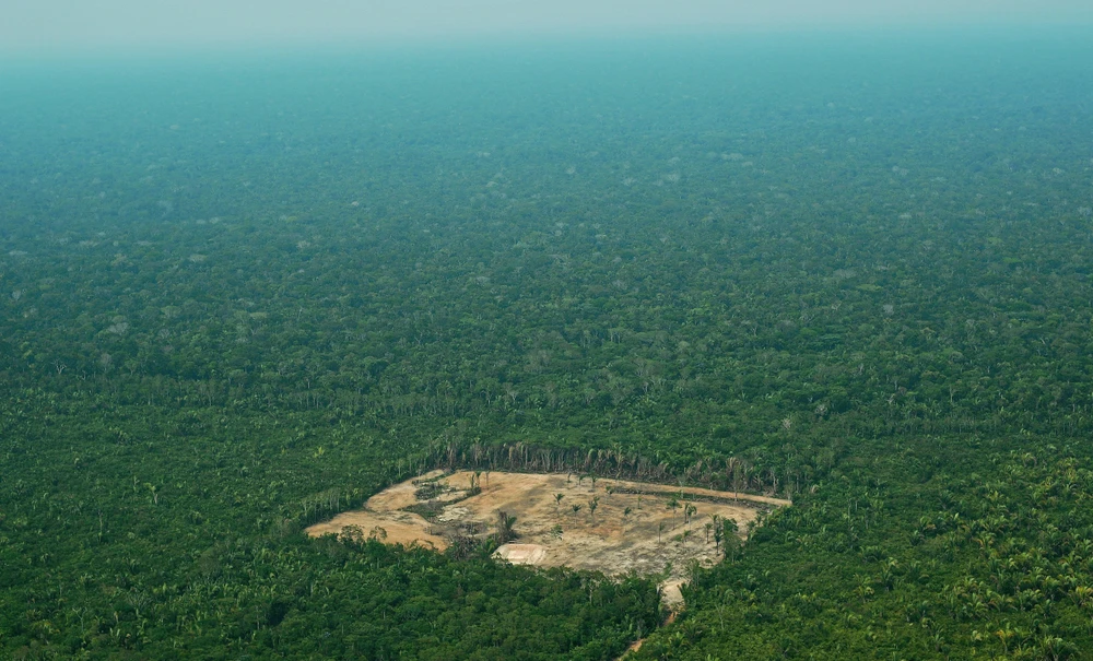 Khoảng rừng bị chặt phá ở khu vực Tây Amazon, Brazil, ngày 22/9/2017. (Ảnh: AFP/ TTXVN)