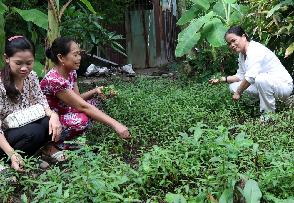 Bà Phạm Thị Hậu (phải) hướng dẫn cho hộ chị Thị Xinh cách trồng rau màu. (Ảnh: Lê Sen/TTXVN)