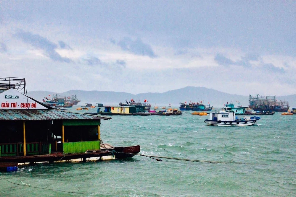 Tàu thuyền tránh trú bão tại khu neo đậu xã Nghĩa Thắng, huyện Nghĩa Hưng, tỉnh Nam Định. (Ảnh: Văn Đạt/TTXVN)
