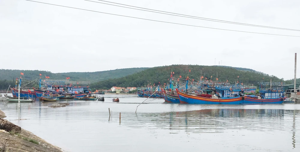 Nhiều tàu thuyền neo đậu an toàn tại cảng cá Lạch Quèn, xã Quỳnh Thuận, huyện Quỳnh Lưu, Nghệ An. (Ảnh: Nguyễn Oanh/TTXVN)