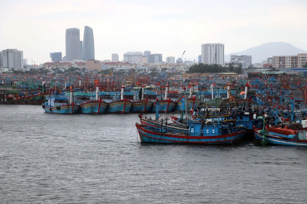 Hàng trăm tàu cá của ngư dân các tỉnh, thành về neo đậu tránh bão số 5 tại Âu thuyền Thọ Quang, Đà Nẵng. (Ảnh: Trần Lê Lâm/TTXVN)