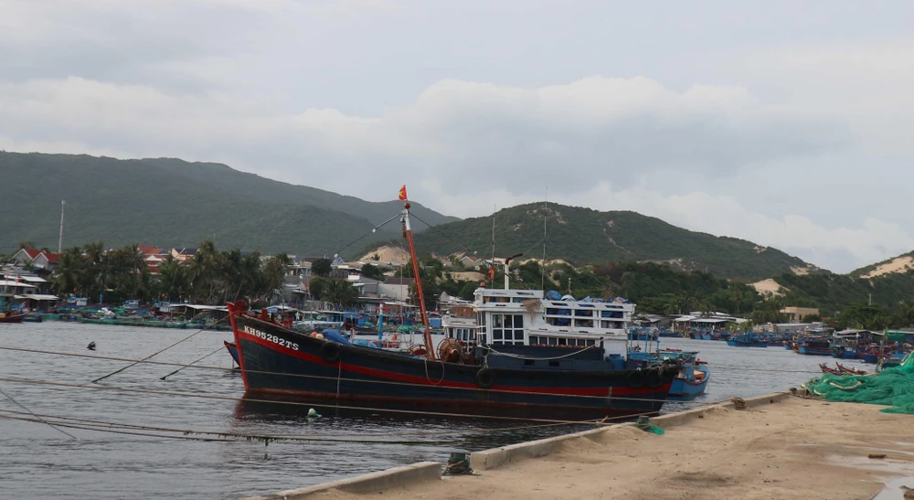 Tàu thuyền đánh bắt thủy sản của ngư dân Khánh Hòa neo đậu ở cảng để tránh trú. (Ảnh: Nguyễn Dũng/TTXVN)
