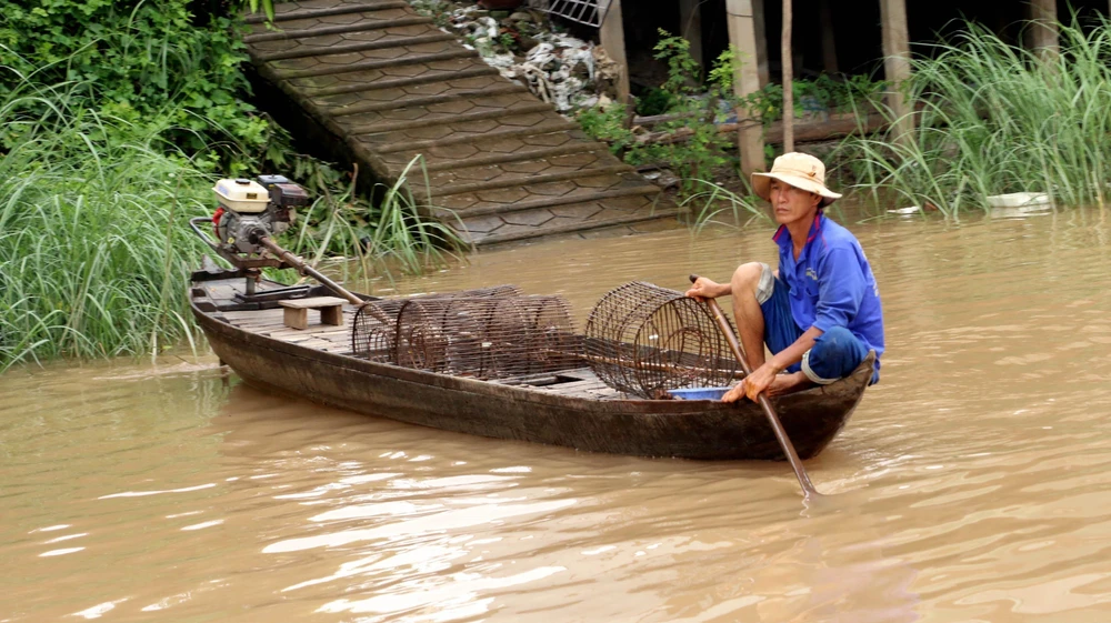 Người dân xã Vĩnh Lộc (An Phú, An Giang) tranh thủ con nước về thả lọp bắt cá. (Ảnh: Công Mạo/TTXVN)