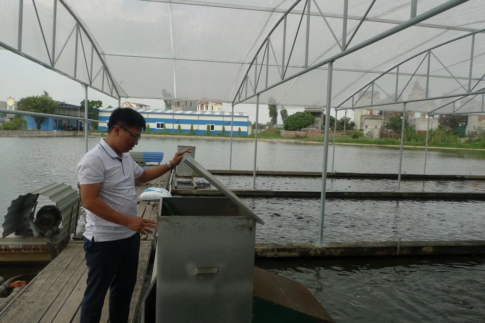 Anh Lê Văn Việt, chủ hợp tác xã sản xuất và thương mại Xuyên Việt (huyện Gia Lộc, Hải Dương) kiểm tra máy cho cá ăn tự động. (Ảnh: Thanh Nga/TTXVN)