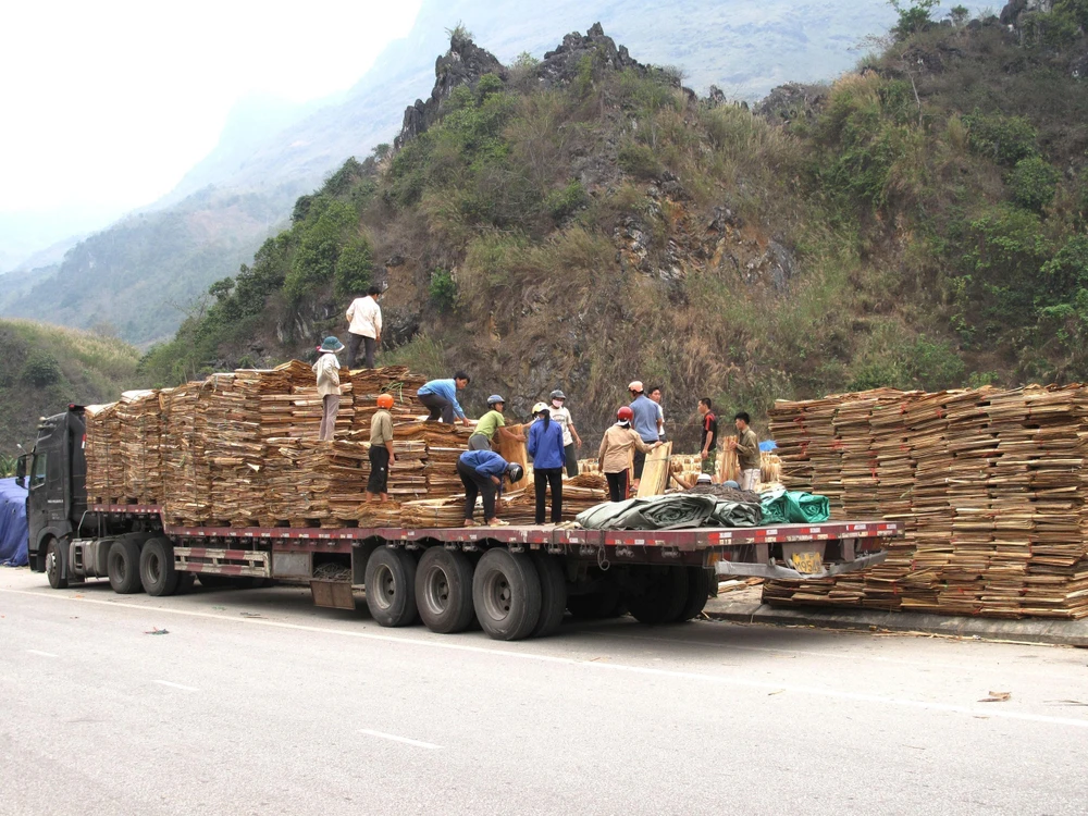 Ván bóc xuất khẩu sang Trung Quốc tại Cửa khẩu Quốc tế Thanh Thủy (Hà Giang). (Ảnh: Minh Tâm/TTXVN)