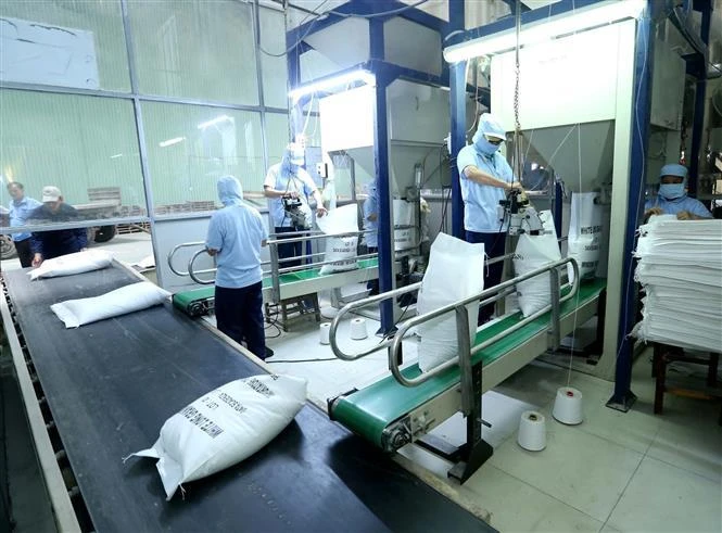 Đóng bao sản phẩm gạo xuất khẩu tại công ty Lương thực Sông Hậu (Sông Hậu Food), thành phố Cần Thơ. (Ảnh: Vũ Sinh/TTXVN)