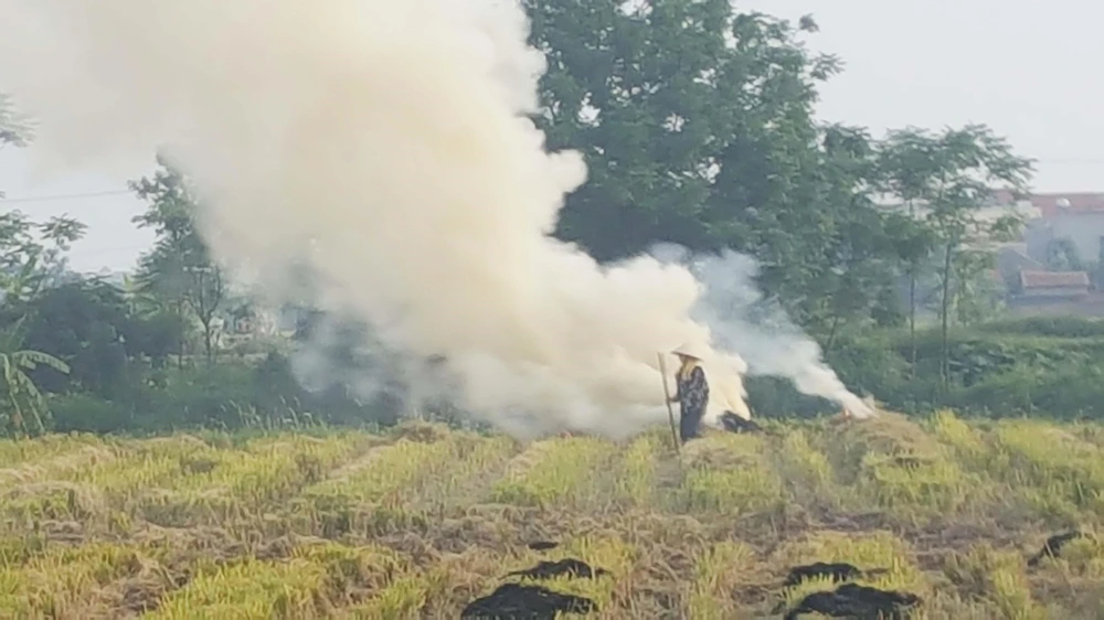 Người dân đốt rơm rạ sau khi thu hoạch gây khói bụi ở huyện Vĩnh Tường, tỉnh Vĩnh Phúc. (Ảnh: Nguyễn Trọng Lịch/TTXVN)