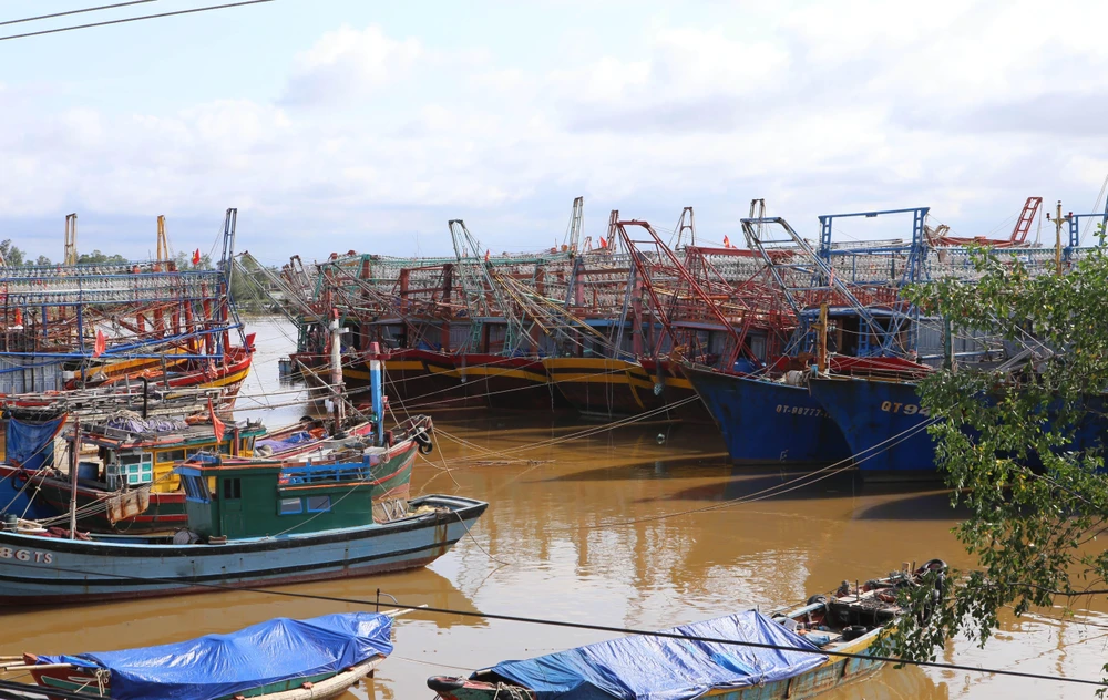 Tàu thuyền ngư dân trong tỉnh Quảng Trị và nhiều tỉnh thành khác đã neo đậu an toàn tại khu neo đậu tránh trú bão xã Triệu An, huyện Triệu Phong. (Ảnh: Hồ Cầu/TTXVN)