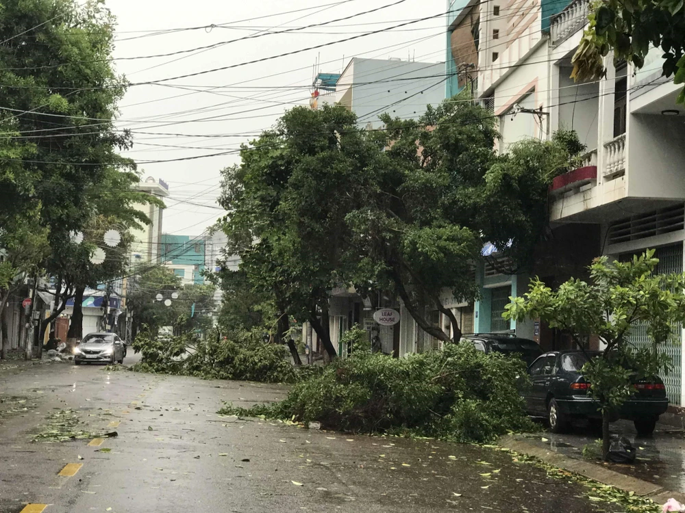 Cây xanh bị ngã đổ trên các tuyến phố tại thành phố Quy Nhơn. (Ảnh: Phạm Kha/TTXVN)