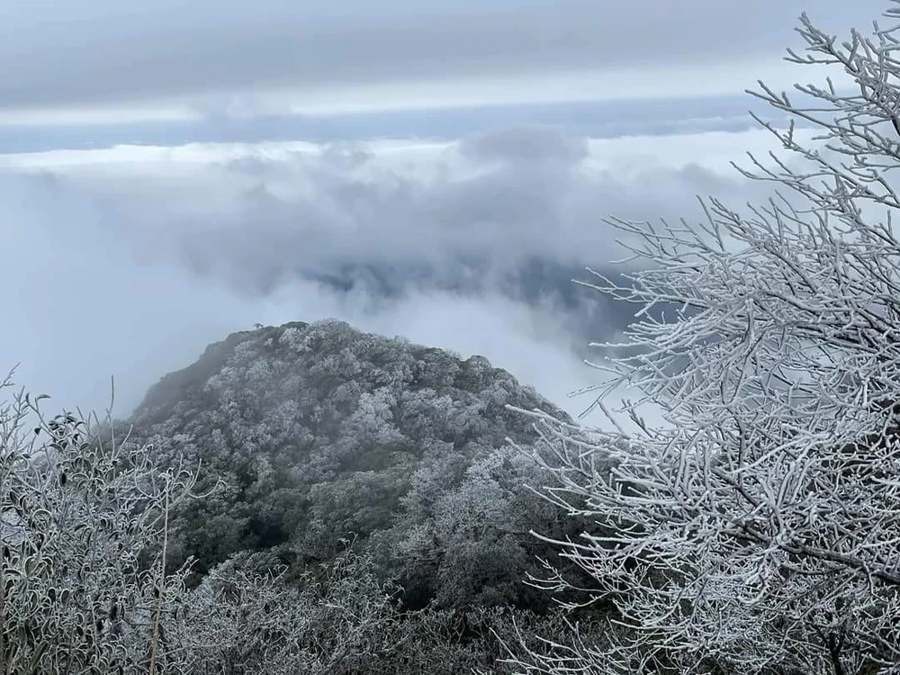 Đỉnh núi Phia Oắc, xã Thành Công, huyện Nguyên Bình (Cao Bằng) phủ một màu trắng của băng tuyết. (Ảnh: TTXVN)