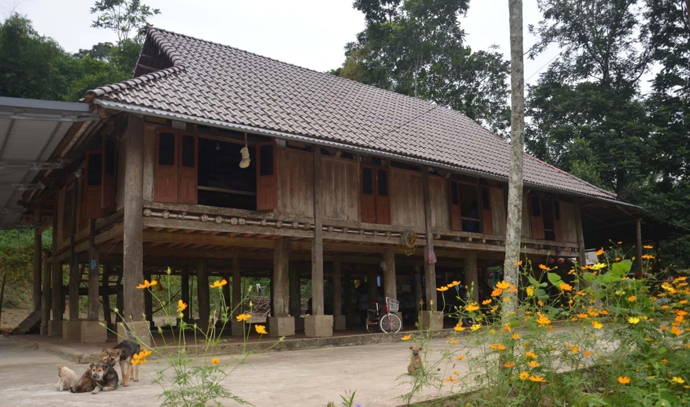 Ngôi nhà sàn của gia đình bà Phạm Thị Sáu (thôn Lập Thắng, xã Thạch Lập, huyện Ngọc Lặc) có tuổi đời gần 100 năm. (Ảnh: Nguyễn Nam/TTXVN)