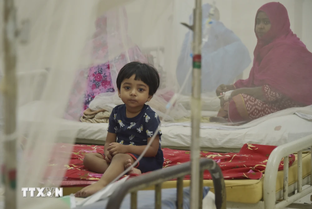 Điều trị cho bệnh nhân mắc sốt xuất huyết tại bệnh viện ở Dhaka, Bangladesh, ngày 20/11/2023. (Ảnh: THX/TTXVN)