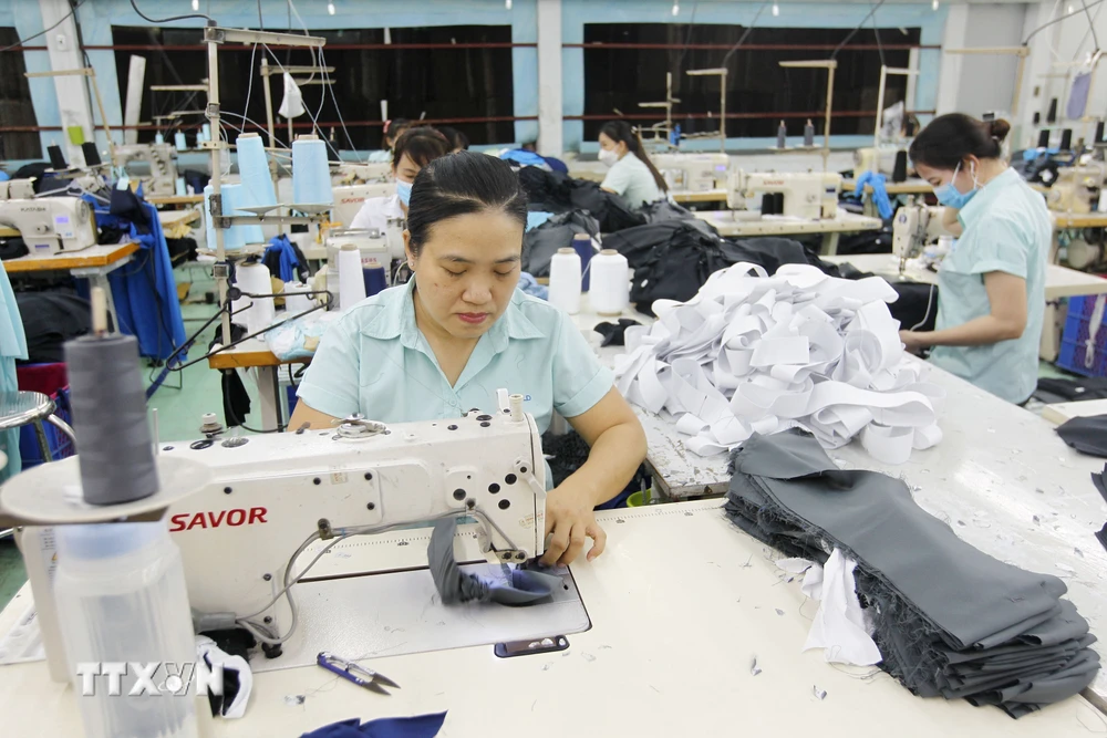 Công nhân Công ty trách nhiệm hữu hạn Ampfield ở khu Công nghiệp Tân Bình. (Ảnh: Thanh Vũ/ TTXVN)