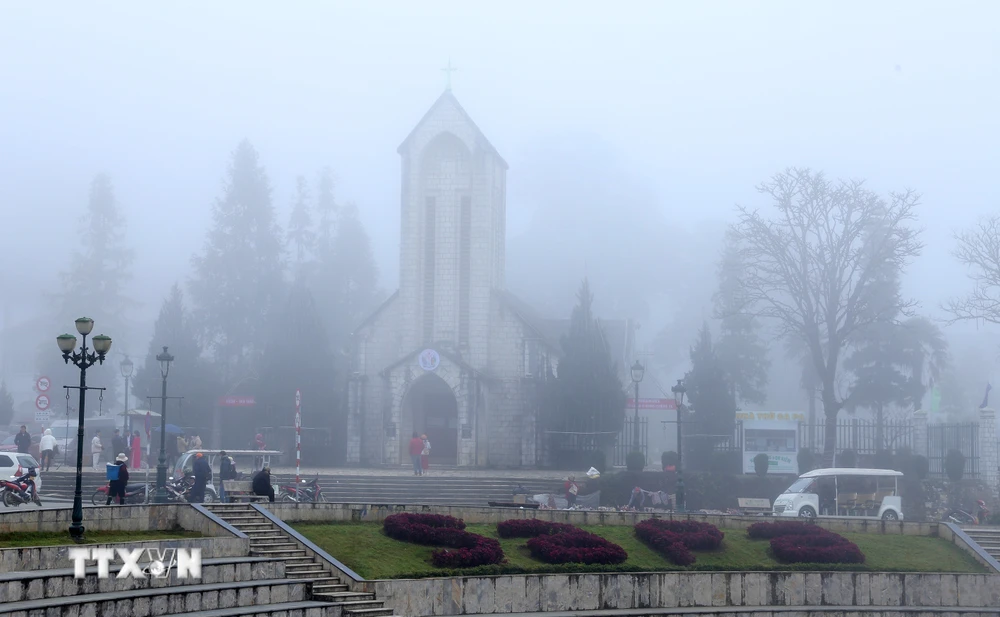 Khu du lịch quốc gia Sa Pa chìm trong sương mù, giá rét. (Ảnh: Quốc Khánh/TTXVN)