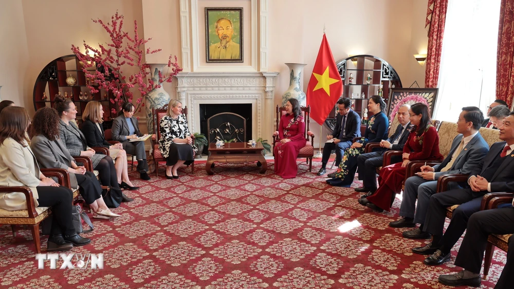 Phó Chủ tịch nước Võ Thị Ánh Xuân gặp các chính khách Hoa Kỳ- Ảnh 1.