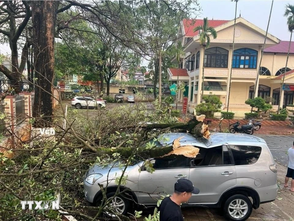Mưa to kèm theo dông lốc khiến nhiều cây xanh bị gãy đổ trên địa bàn thành phố Sơn La, huyện Phù Yên, Thuận Châu, Quỳnh Nhai. (Ảnh: TTXVN phát)