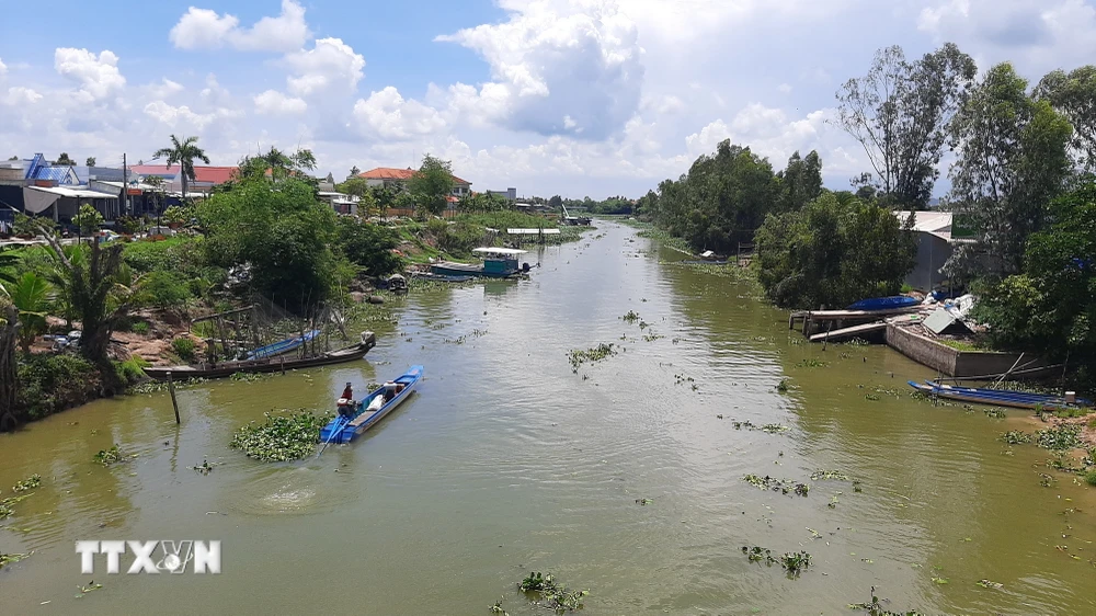 Kênh Măng Đa - Cái Môn là dòng kênh được đào bằng tay, góp phần quan trọng vào việc rửa phèn cho Đồng Tháp Mười. (Ảnh: Đức Hạnh/TTXVN)