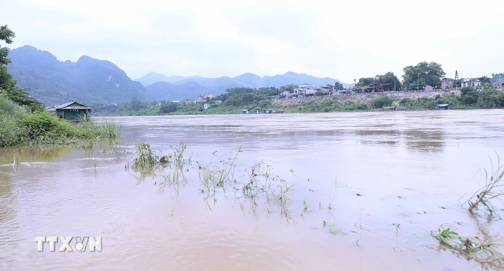 Mực nước sông Lô qua thành phố Tuyên Quang dâng cao. (Ảnh: Quang Cường/TTXVN)