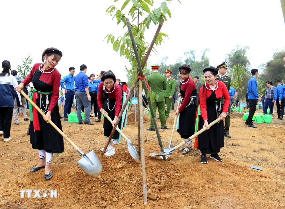 Người dân tỉnh Tuyên Quang hưởng ứng Đề án trồng một tỷ cây xanh. (Ảnh: Quang Cường/TTXVN)