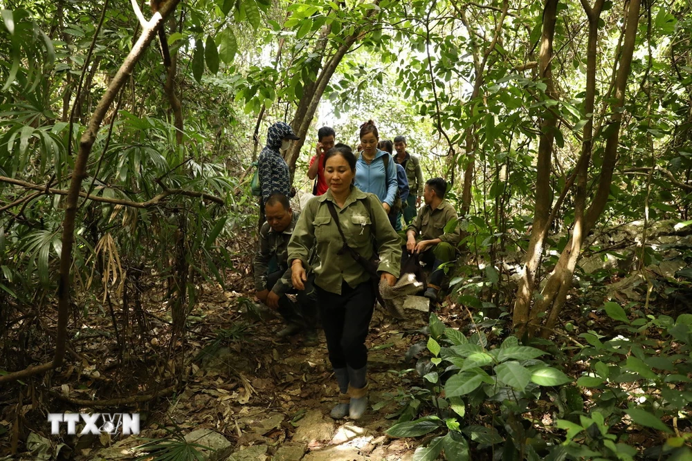 Ninh Bình: 70 người tham gia tìm kiếm người đàn ông mất tích trong rừng 10 ngày