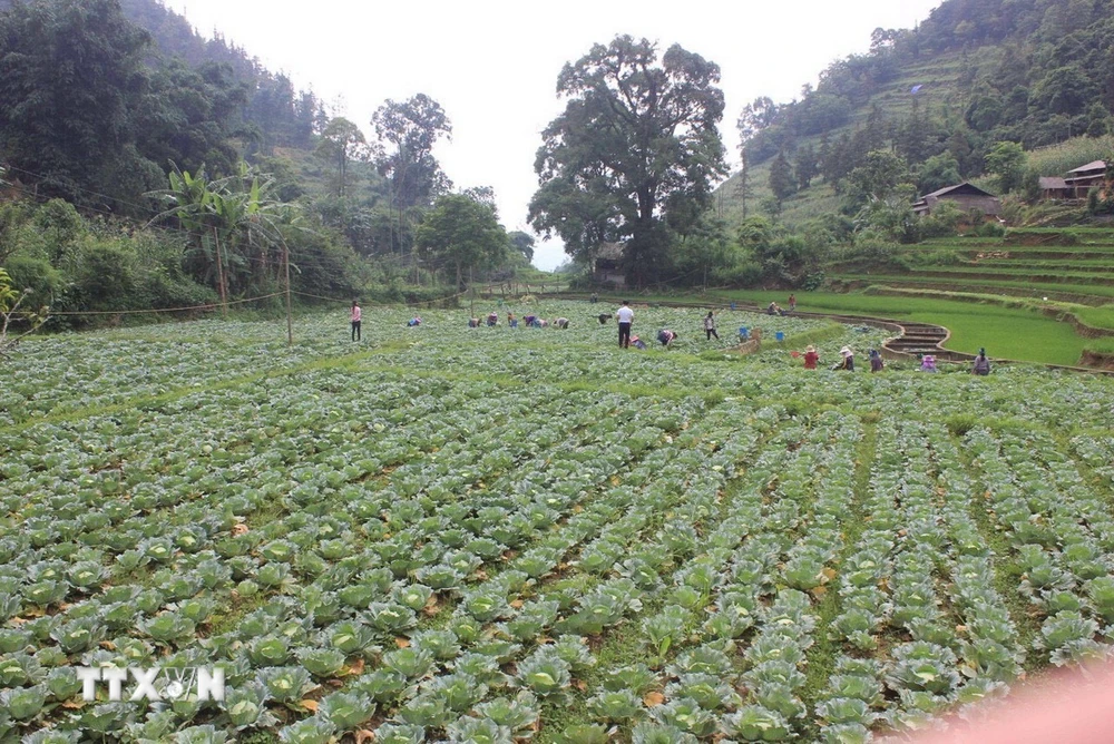 Một góc huyện Mường Khương (Lào Cai). (Ảnh minh họa: Hương Thu/TTXVN)