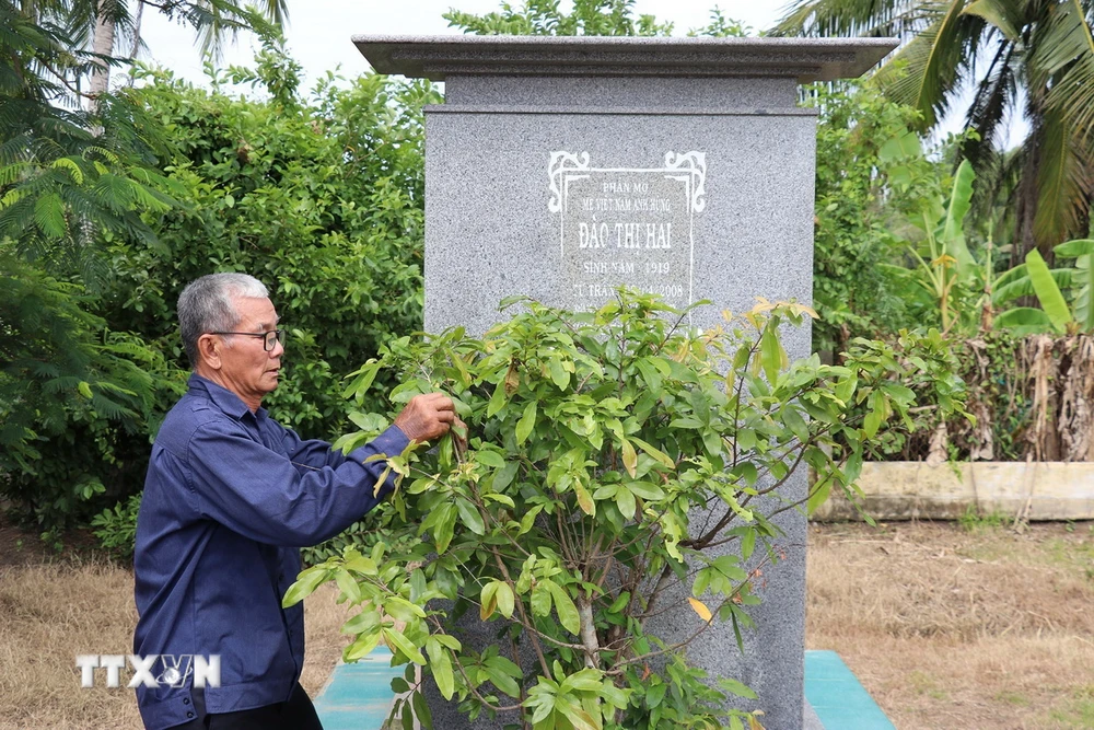 Cựu chiến binh Bùi Ngọc Việt Hùng, 74 tuổi chăm sóc phần mộ Mẹ Việt Nam anh hùng Đào Thị Hai tại nghĩa trang liệt sỹ xã Bình Phan, huyện Chợ Gạo, tỉnh Tiền Giang, (Ảnh: Hữu Chí/TTXVN)