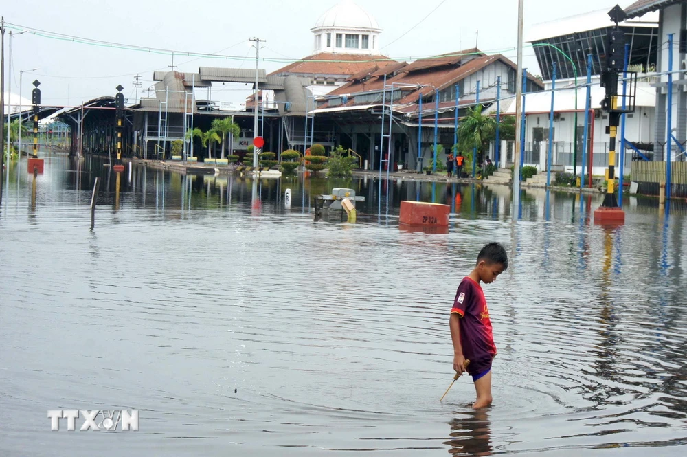 Cảnh ngập lụt sau những trận mưa lớn tại Semarang, Trung Java, Indonesia. (Ảnh: THX/TTXVN)