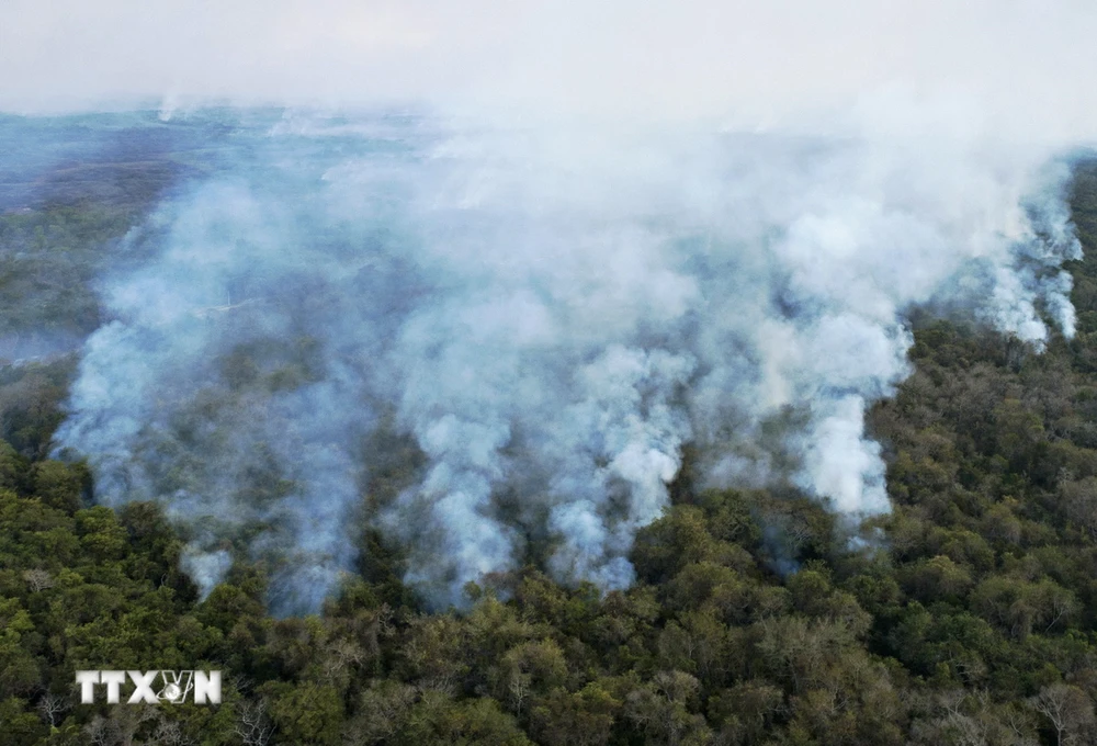 Khói lửa bốc lên từ hiện trường vụ hỏa hoạn ở khu vực Pantanal, bang Mato Grosso, Brazil, ngày 1/8/2020. (Ảnh: AFP/ TTXVN)