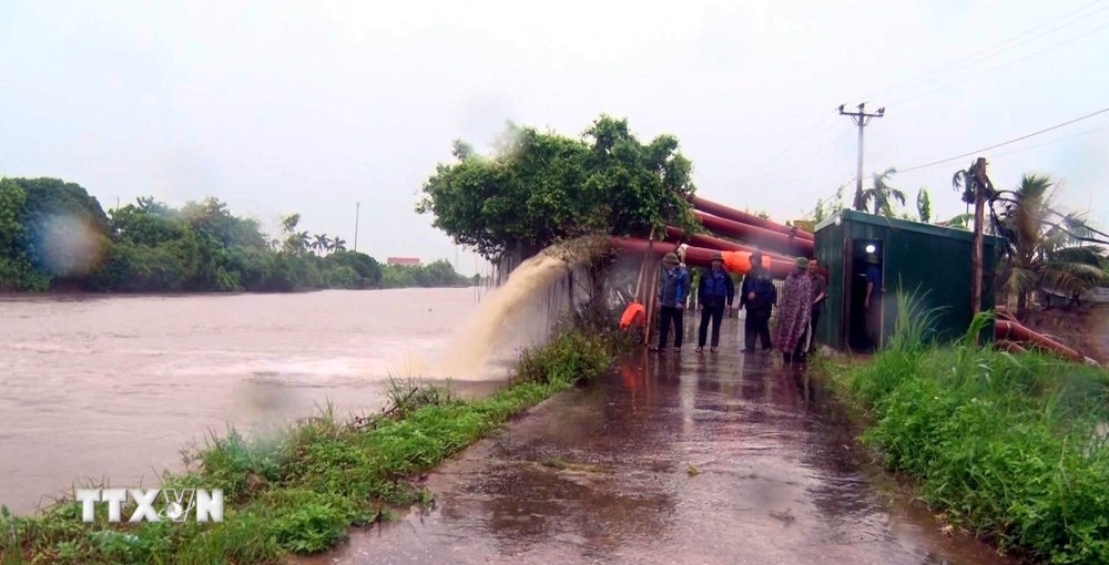 ttxvn_lua ninh binh.jpg