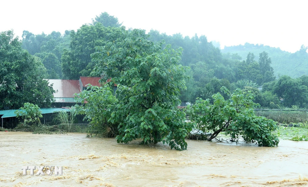 Lũ trên suối Ngòi Đum khu vực Cốc San, thành phố Lào Cai dâng cao ảnh hưởng đến sinh hoạt của người dân nơi đây, sáng 9/9. (Ảnh: Quốc Khánh/TTXVN)