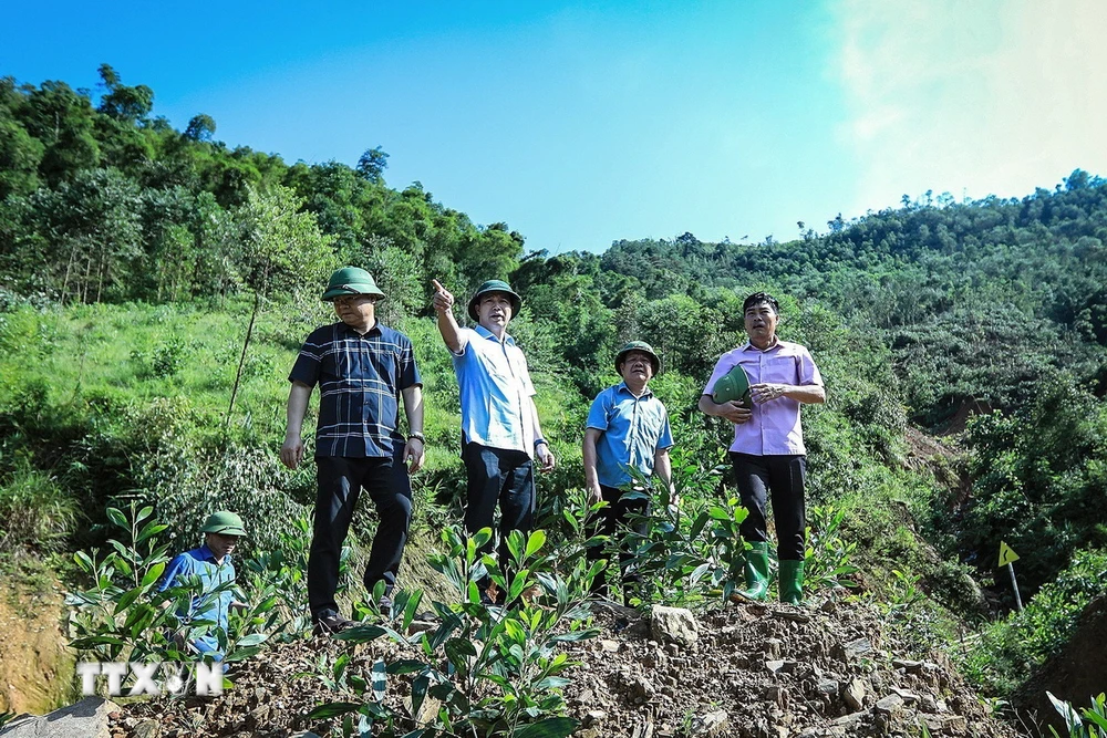 Phó Chủ tịch Thường trực UBND tỉnh Hòa Bình Nguyễn Văn Toàn cùng các đại diện lãnh đạo một số sở, ngành, đơn vị liên quan thị sát tại khu vực sạt lở đồi Ao Ếch tại xóm Rằng xã Cao Sơn. (Ảnh: Trọng Đạt/TTXVN)