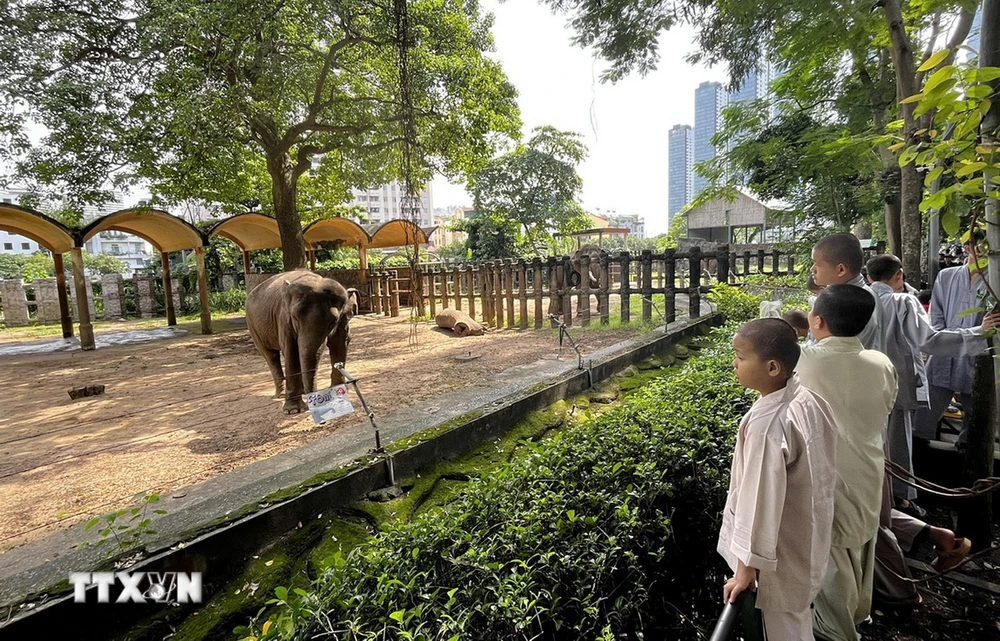 Các thanh thiếu niên có hoàn cảnh đặc biệt tham quan Thảo Cầm Viên Sài Gòn, Thành phố Hồ Chí Minh. (Ảnh: Thanh Vũ/TTXVN)