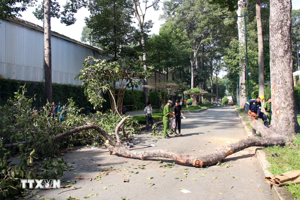 iện trường vụ việc. (Ảnh: Tiến Lực/TTXVN)