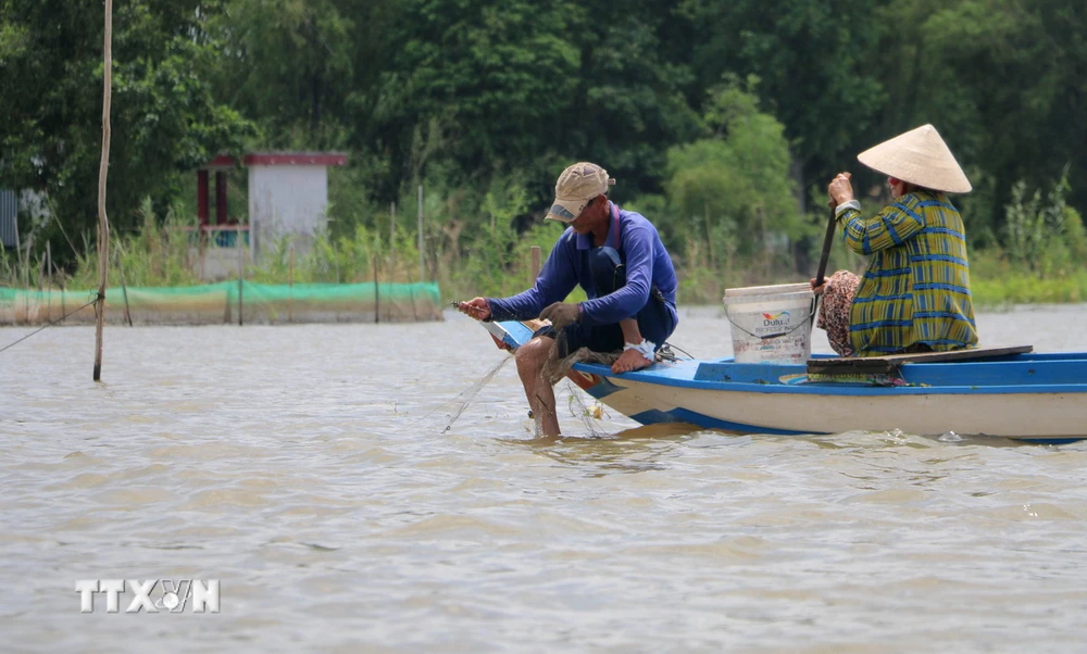 Người dân xã Phú Hội, huyện biên giới An Phú (An Giang), giăng lưới đánh bắt cá trên sông Vĩnh Hội Đông. (Ảnh: Công Mạo/TTXVN)