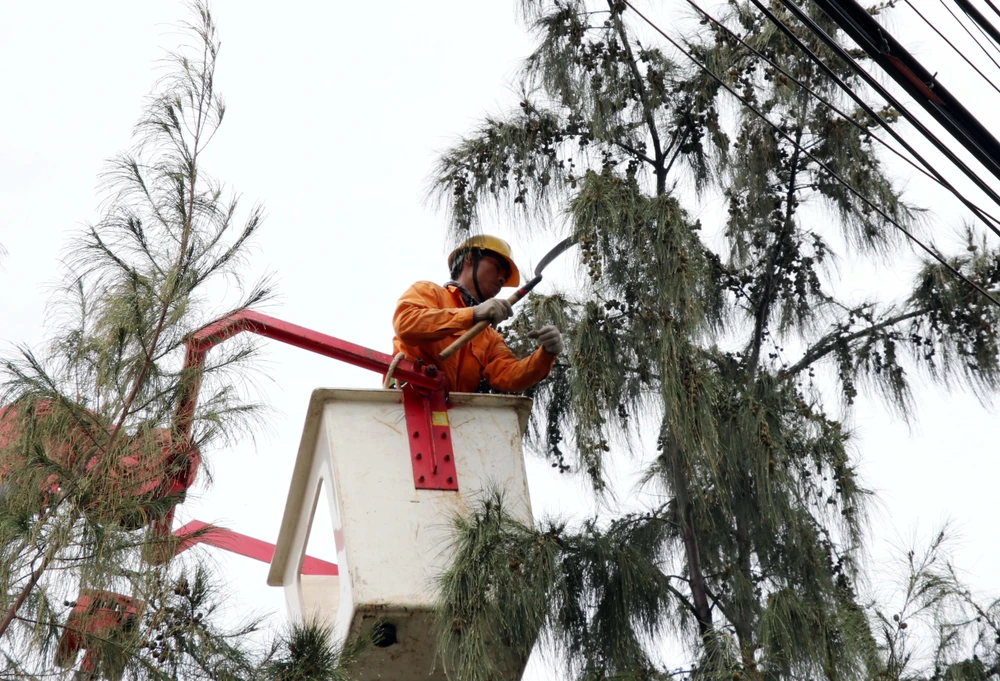 Nhân viên Điện lực Ninh Thuận chặt tỉa cành cây để đảm bảo an toàn lưới điện trước khi bão đổ bộ. (Ảnh: Công Thử/TTXVN)