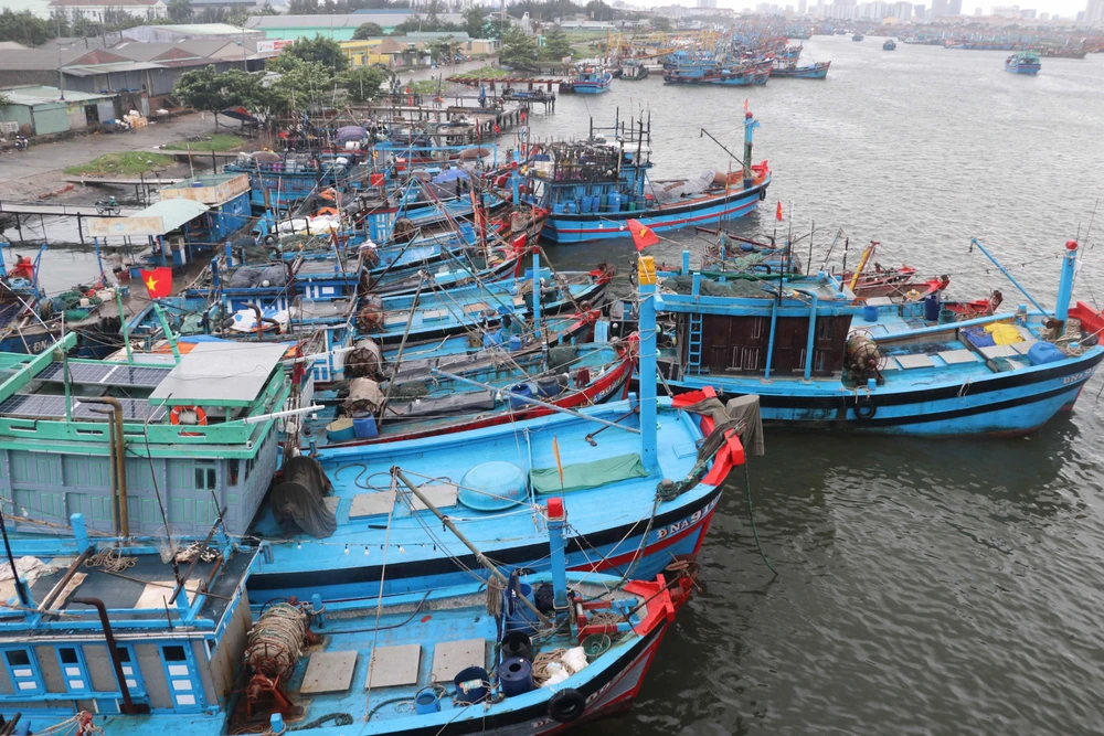 Tàu cá của ngư dân về neo đậu tránh bão số 5 tại Âu thuyền Thọ Quang. (Ảnh: Trần Lê Lâm/TTXVN)