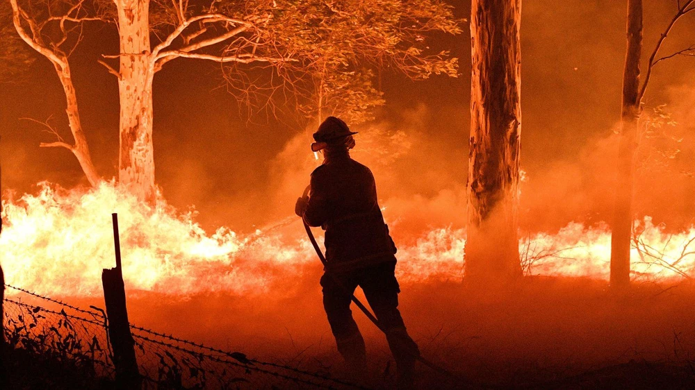 Lực lượng cứu hỏa nỗ lực dập cháy rừng. (Nguồn: Getty Images)