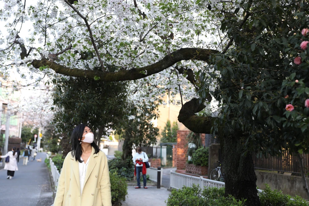 Người dân đeo khẩu trang phòng lây nhiễm COVID-19 tại Tokyo, Nhật Bản, ngày 22/3. (Ảnh: THX/TTXVN)