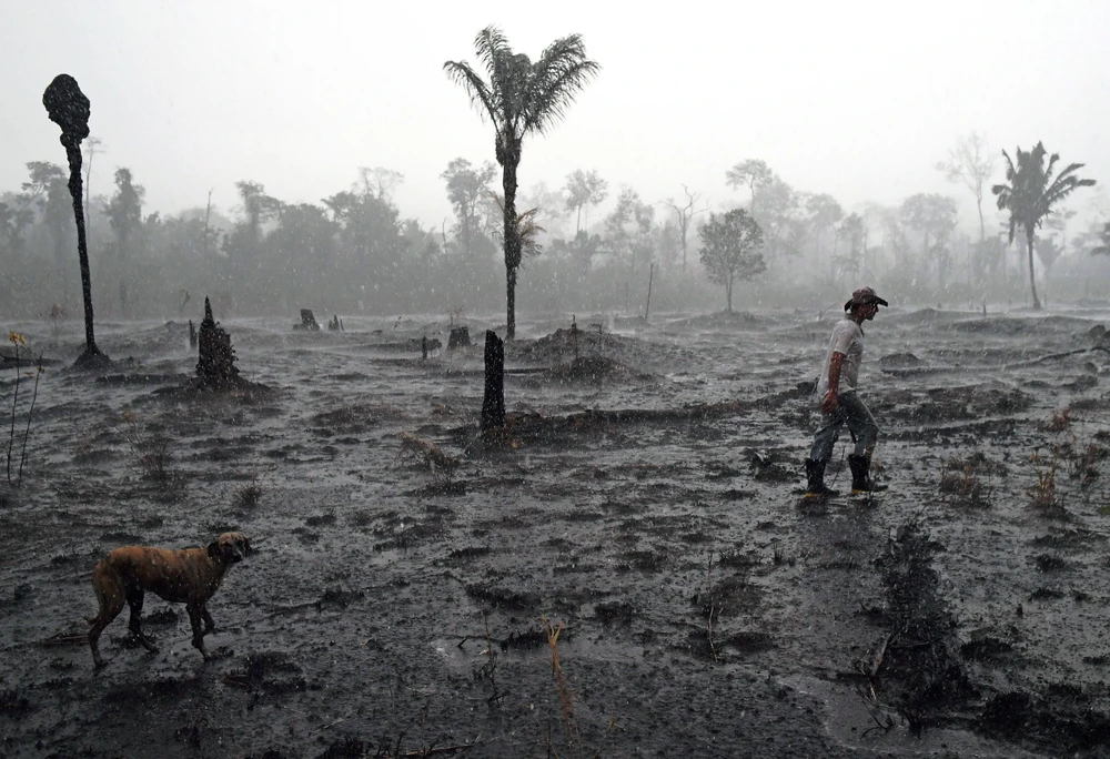 Một góc rừng Amazon ở gần Porto Velho, bang Rondonia, Brazil bị tàn phá do hỏa hoạn. (Ảnh: AFP/TTXVN)