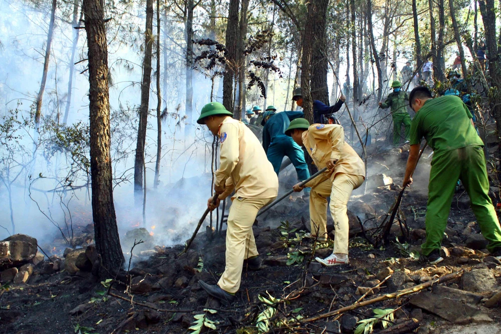 Các lực lượng chức năng nỗ lực dập lửa tại xã Diễn Lợi, huyện Diễn Châu (Nghệ An). (Ảnh: Tá Chuyên/TTXVN)