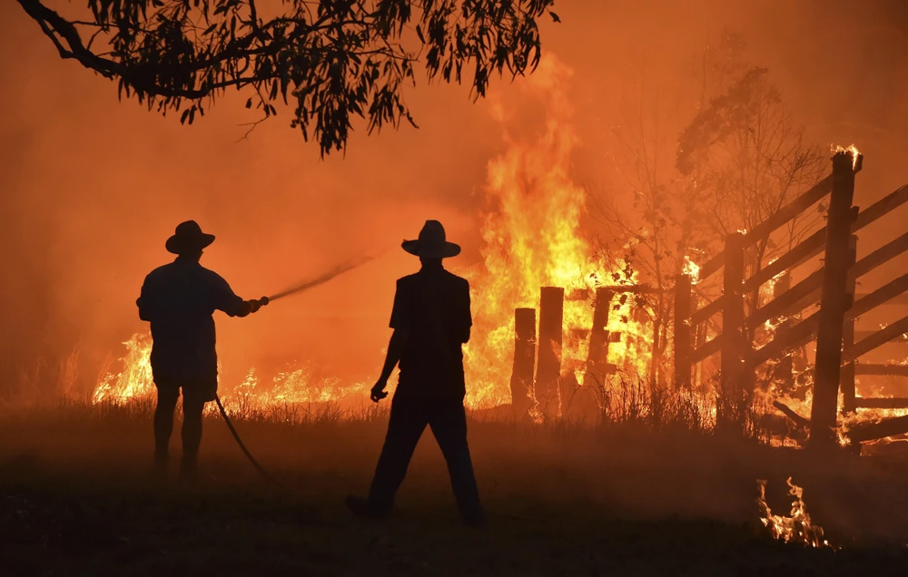 Lực lượng cứu hỏa nỗ lực dập lửa cháy rừng tại Hillsville, gần Taree, New South Wales, Australia, ngày 12/11/2019. (Ảnh: AFP/ TTXVN)