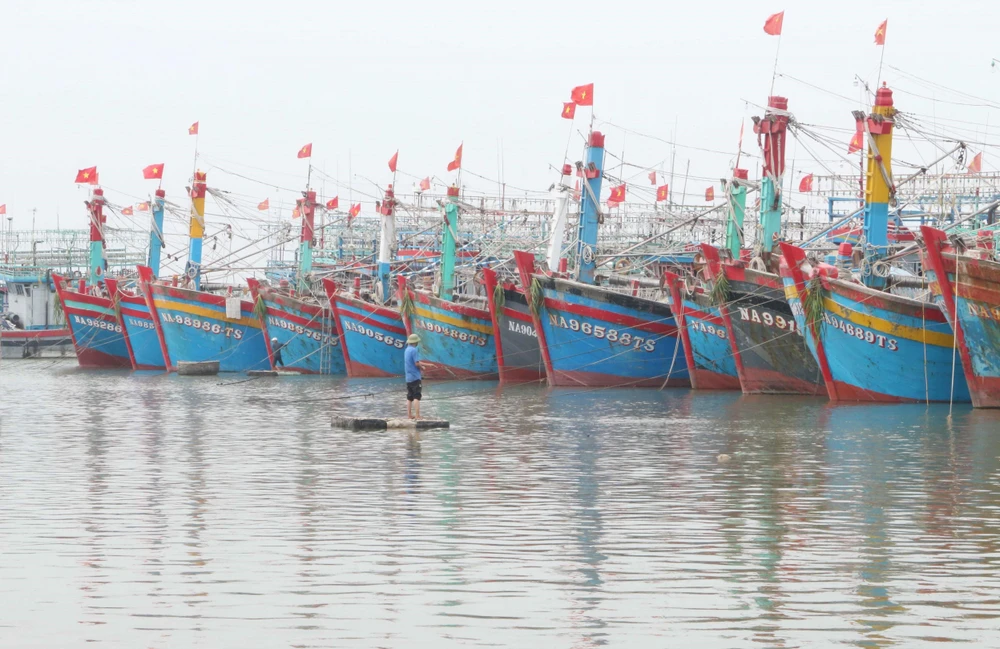 Da số các tàu cá ở Nghệ An đã vào bờ an toàn tránh bão số 7. (Ảnh: Nguyễn Oanh/TTXVN)
