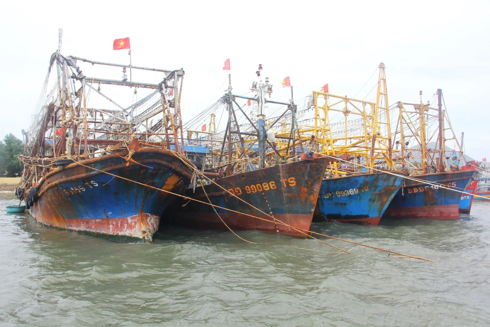 Tàu vỏ thép neo đậu tránh bão số 9 ở cảng cá Đề Gi, huyện Phù Cát. (Ảnh: Nguyên Linh/TTXVN)