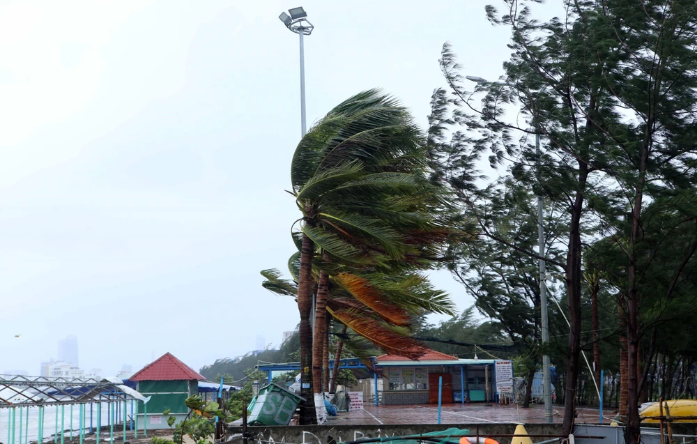 Gió lớn giật mạnh trên tuyến đường ven biển Nguyễn Tất Thành (Đà Nẵng) (sáng 28/10). (Ảnh: Trần Lê Lâm/TTXVN)