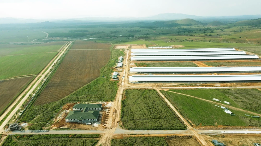 Trang trại đầu tiên trong Tổ hợp bò sữa Lao-Jagro tại Xiengkhuang của Vinamilk đã hoàn thành các hạng mục xây dựng cơ bản (ảnh chụp tháng 5/2021).