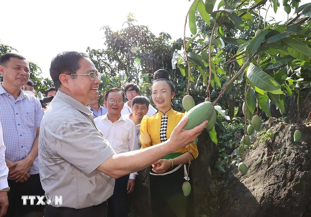 Thủ tướng Phạm Minh Chính thăm vùng sản xuất nông nghiệp tại xã Hát Lót, huyện Mai Sơn (Sơn La). (Ảnh: Dương Giang/TTXVN)