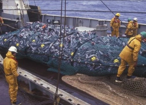 Trung Quốc chính thức chấp nhận hiệp định về trợ cấp nghề cá của WTO